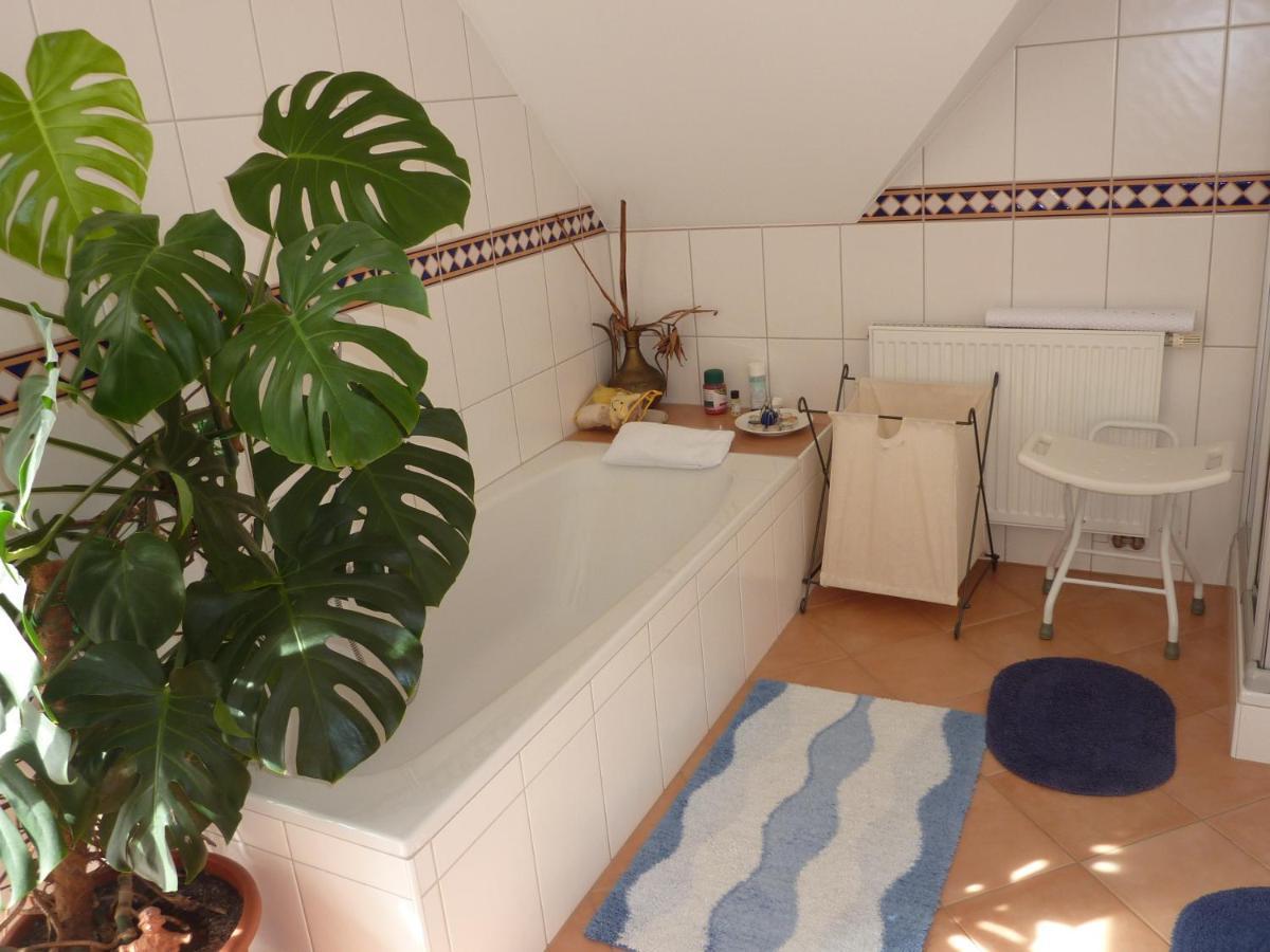 Apartment Aschka *